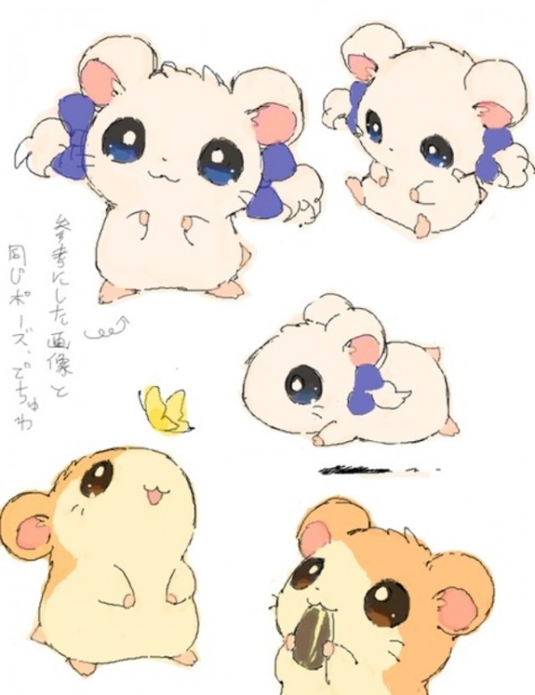 hamtaro