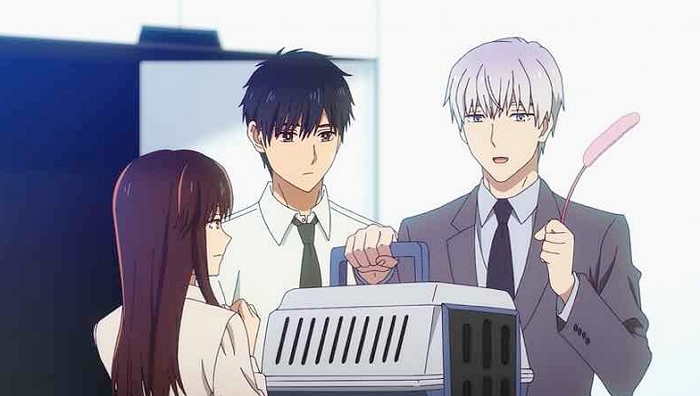 Review Anime Koori Zokusei Danshi To Cool Na Douryou Joshi