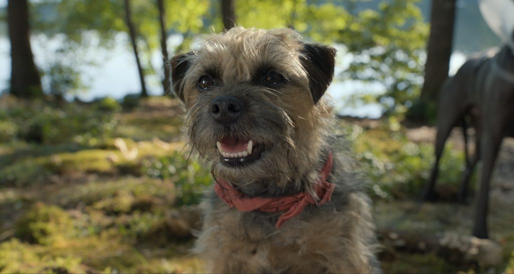 Review Film Strays; Homeward Bound Versi 17+