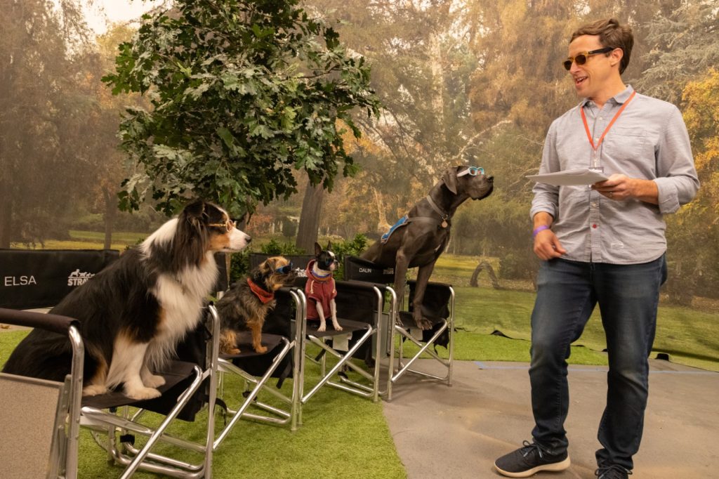 Review Film Strays; Homeward Bound Versi 17+