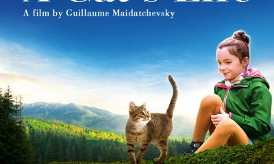 Moxienotion Merangkul Komunitas Peduli Kucing Dalam Pemutaran Film A Cat’s Life