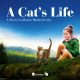 Moxienotion Merangkul Komunitas Peduli Kucing Dalam Pemutaran Film A Cat’s Life
