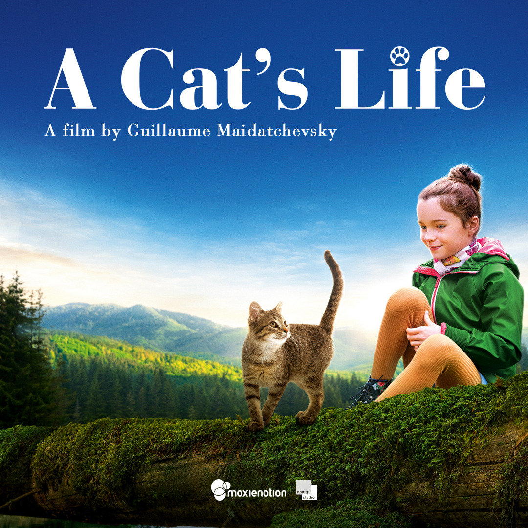 Moxienotion Merangkul Komunitas Peduli Kucing Dalam Pemutaran Film A Cat’s Life