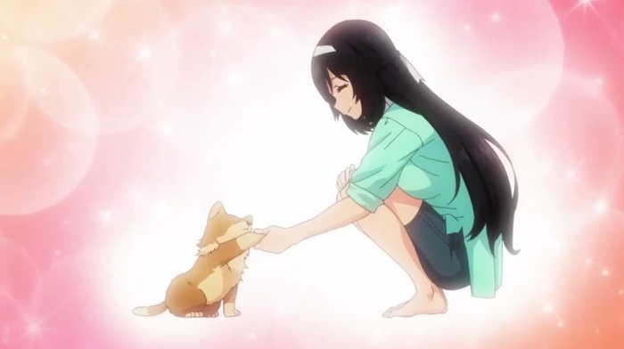 Alasan Kamu Perlu Menonton Anime Inu Suki Na Hito Ni Hirowareta