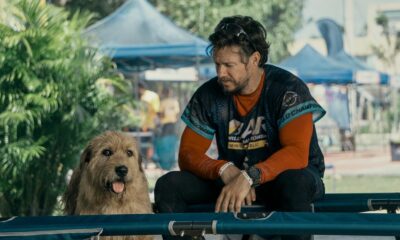 Review Film Arthur The King, Kisah Anjing Penyintas Alam
