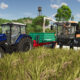 Farming Simulator 25 Pelajari Tentang Padi Dan Kacang Polong Di Trailer Terbaru!