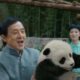 Review Film Panda Plan, Aksi Lucu Penyelamatan Hewan.