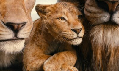 Review Mufasa: The Lion King, Awal Mula Raja Singa