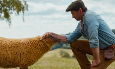 Review Film The Sheep Detectives, Ketika Domba Menjadi Detektif.
