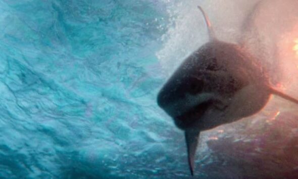 Review Film Deep Water: Terdampar Bersama Hiu
