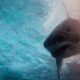 Review Film Deep Water: Terdampar Bersama Hiu